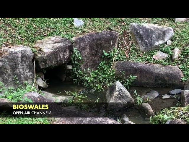 Hydrology of the Kallang River