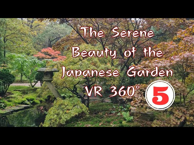 The Serene Beauty of the Japanese Garden in The Hague - VR 360 Experience