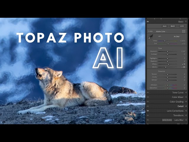 Using Topaz Photo AI to Sharpen a Blurry Image Caused by Heat Waves