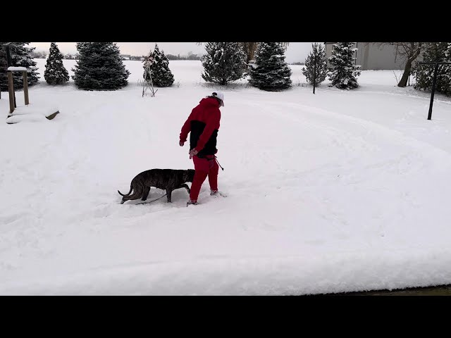 Maze Day 1 Off Leash