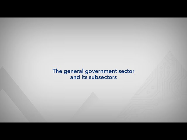 The general government sector and its subsectors