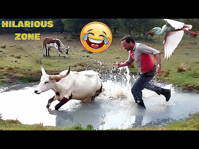 Funny & Hilarious People Life 😆 #127 | TRY NOT TO LAUGH 😂😁😆 | Instant Regret Fails Compilation 2025