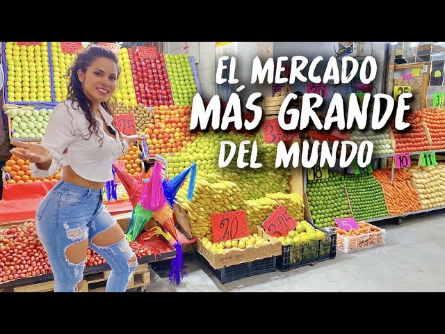 Así es EL MERCADO MÁS GRANDE DEL MUNDO Central de Abasto en la CDMX México I Brenda Catalán