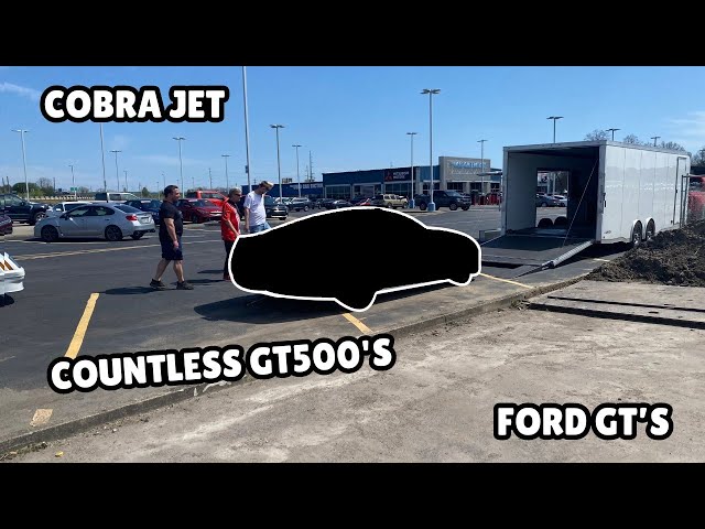 Insane Cars at the 60th Anniversary Mustang Car Show | Ford GT's | Cobra Jet | Shelby Cobra