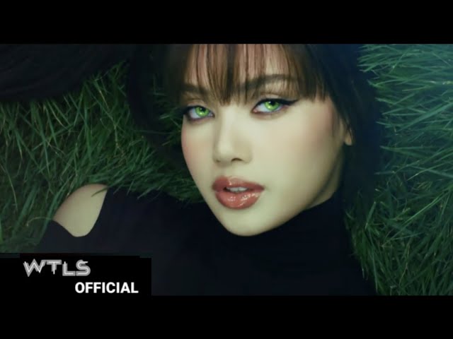 LISA - 'Phoenix' M/V