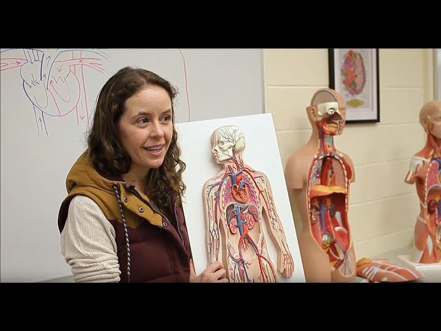 Dr. Sevene Presents CSUMB's Anatomage Virtual Cadaver and Kinesiology Laboratory