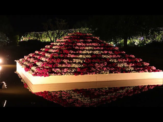 Ashikaga flower park night view