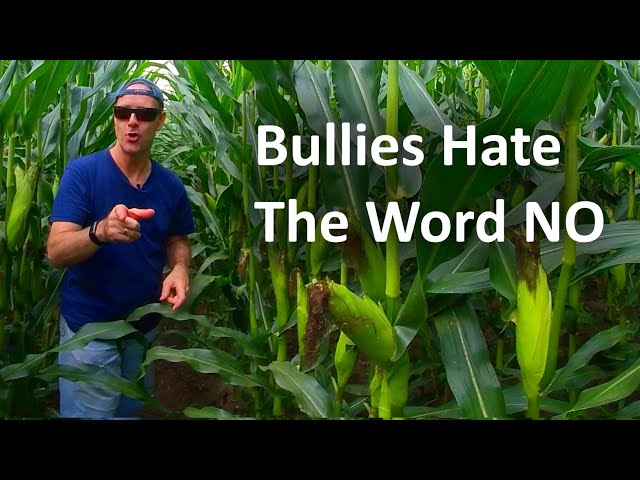 Stand Up To Bullies | The Word NO is Kryptonite to a Bully | ChatGPT Roulette | VR180