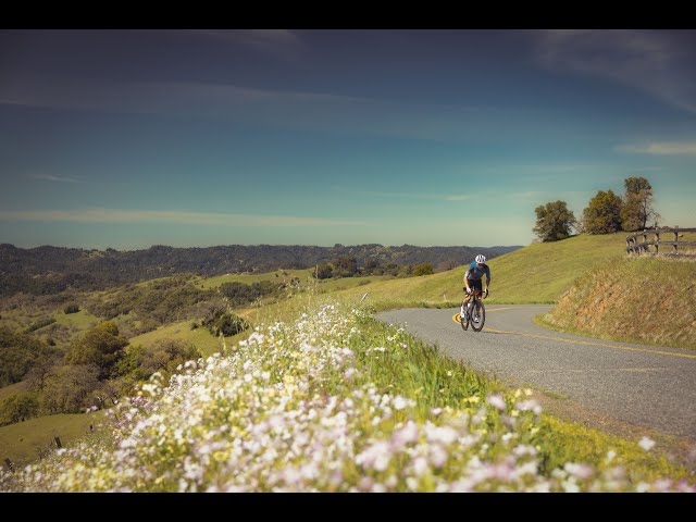 Levi's GranFondo becomes the richest road race in the world.