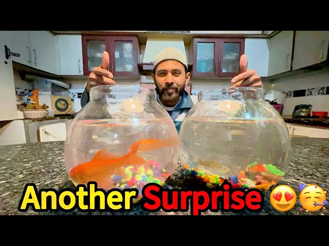 Aik Or Surprise After Fish Unboxing! 😱 You Won't Believe What Came Next!