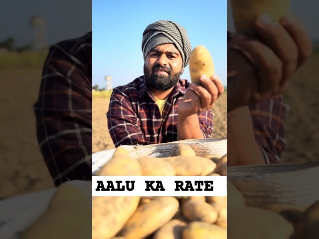 AALU KA RATE @TRI1PLEX /#shorts #patato #comedy #shortfeed