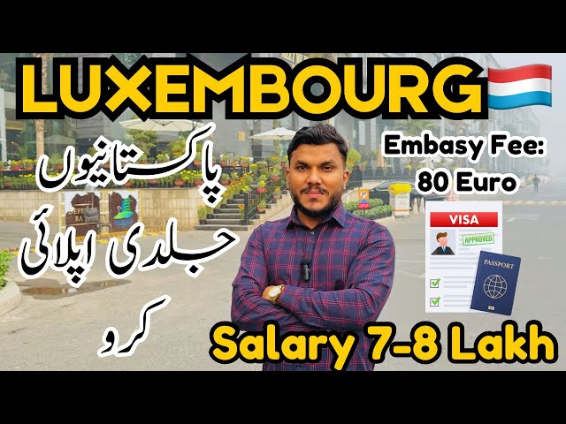 How to apply Luxembourg Job Visa 2024 | Full Process Explained | Immigration to Europe   #luxembourg