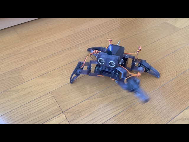 Quadruped Robot