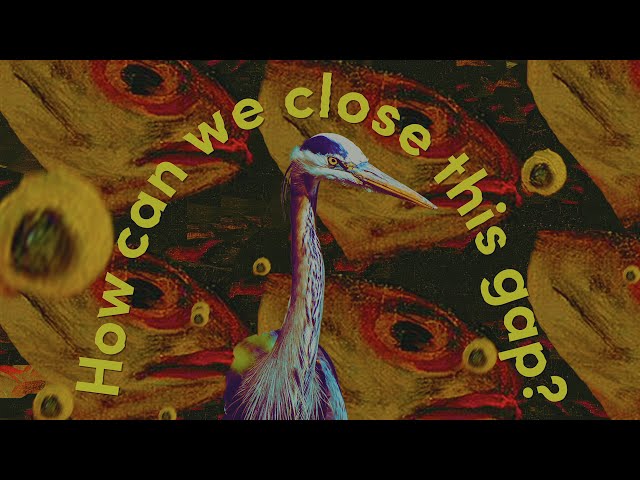 The Herons Are Back / motion graphics animation made with after effects