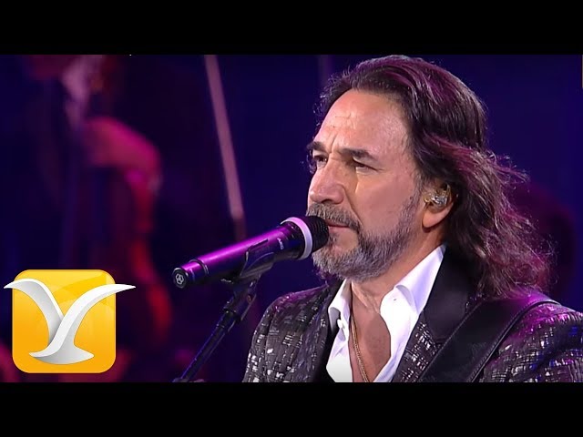 Marco Antonio Solís en vivo , Festival de Viña del Mar 2016