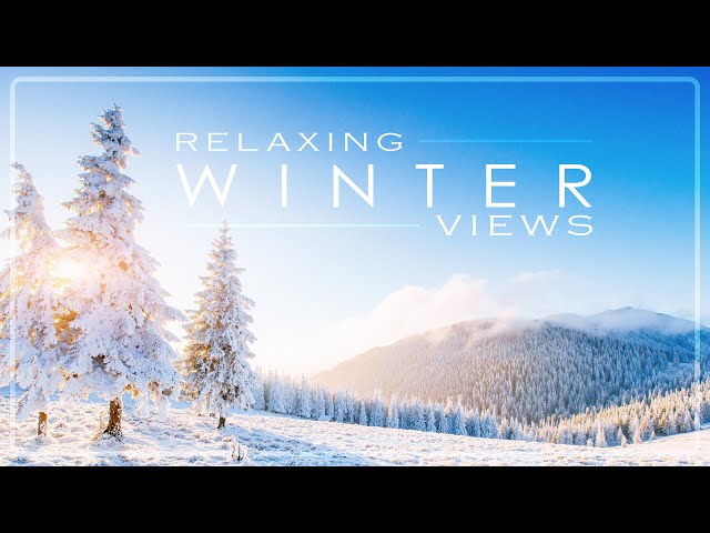 3 Hours of Calm Ambient Music with Beautiful Winter Nature Views - Arctic Audio