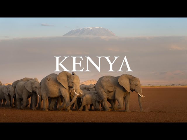 KENYA | Epic Travel Experience