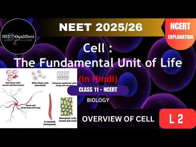 CELL: FUNDAMENTAL UNIT OF LIFE I OVERVIEW OF CELL #ncert #neet #biology #plantcell #animalcell #nta