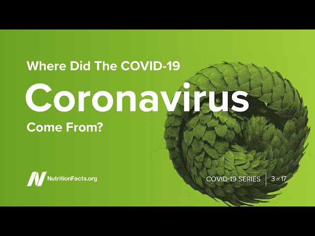 Where Did the COVID-19 Coronavirus Come From?