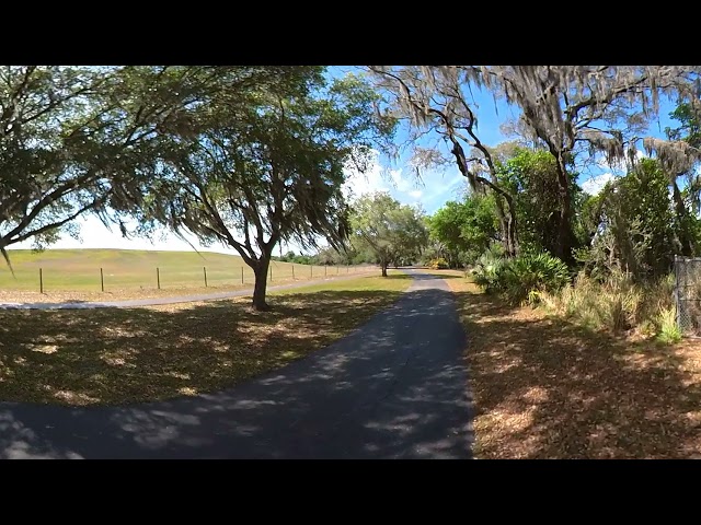 Skating Upper Tampa Bay Trail. Three wheel skates.