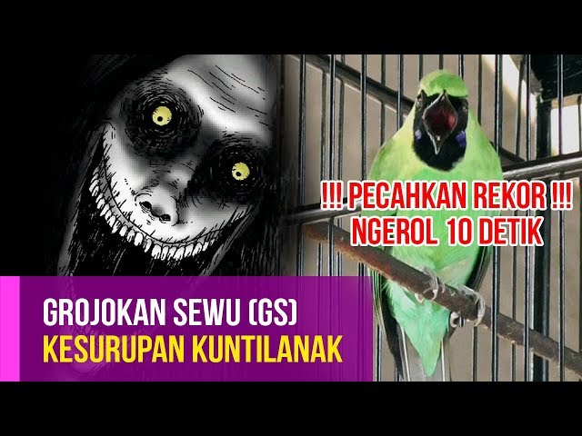 Grojokan Sewu Kerasukan Kuntilanak dan Pecahkan Rekornya sendiri Ngerol Panjang 10 detik