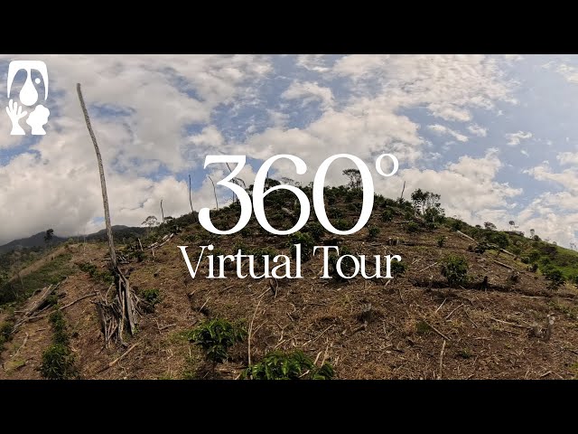 El Morito - TYPICA's 360° Virtual Tour