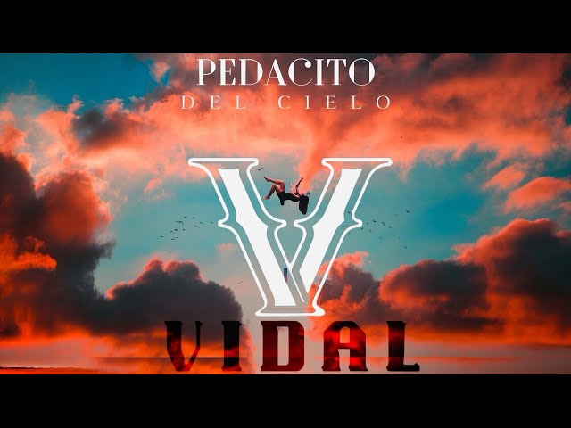 “PEDACITO DEL CIELO” by VIDAL