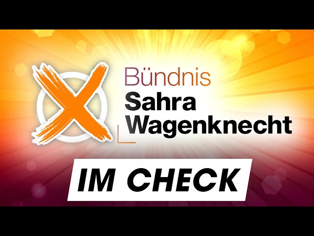 Wahlprogramm: Das will das BSW für dich! | Bundestagswahl 2025