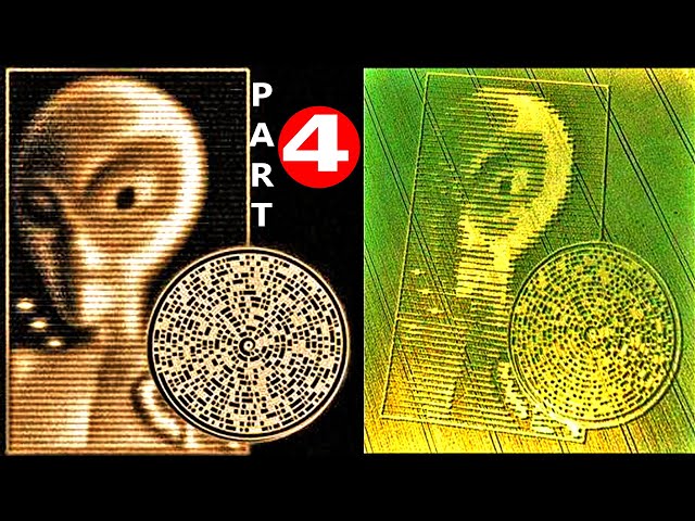 The Message of Grey Aliens To The People Of The Earth In The Crabwood Crop Circle : part 4