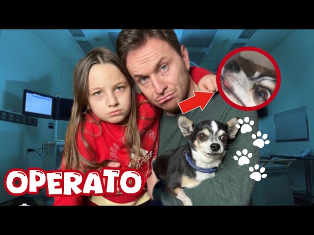 IL NOSTRO CANE SNOOPY E’ STATO OPERATO!