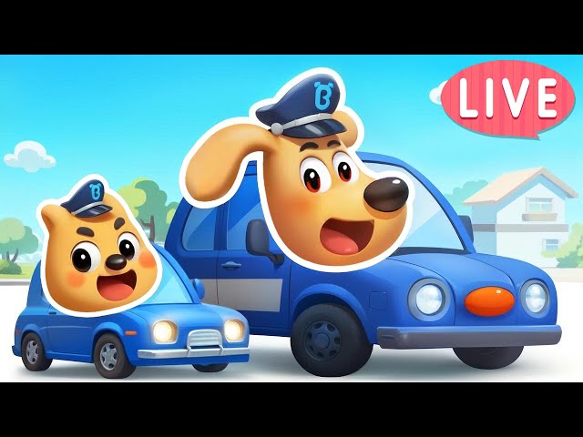 🔴LIVE | Kids' Driving Center | Street Vehicles | Safety Rules | Sheriff Labrador | BabyBus