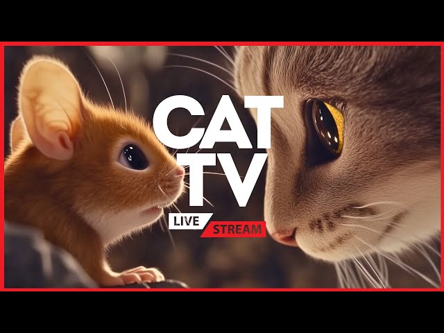 🐭 24/7 CAT TV - Mouse in The Hole - Interactive Stream for Bored Cats 🔴