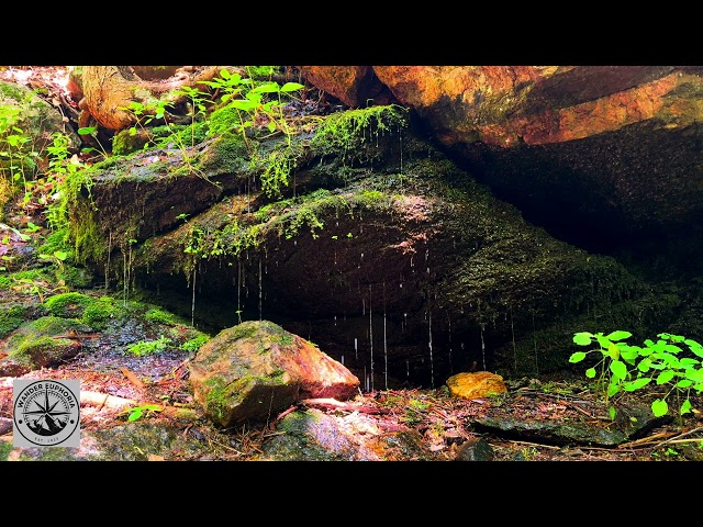 Shot on iPhone 15 : 4K Relaxing Ambient Rain,Water, and Nature Sounds- Study,Sleep,Relaxation,Stress