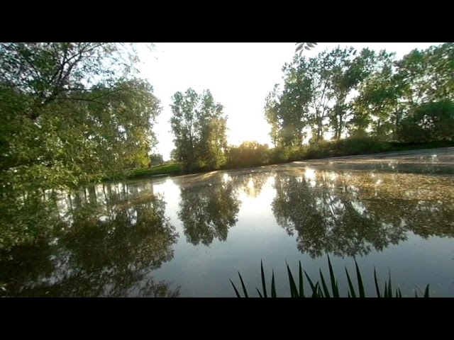 Kandao Qoocam VR180 3D Fishing Pond