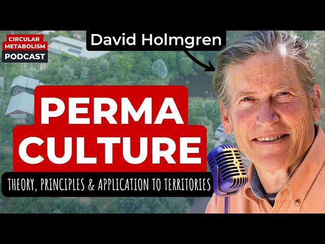 Permaculture: From theory to application in territories (David Holmgren)