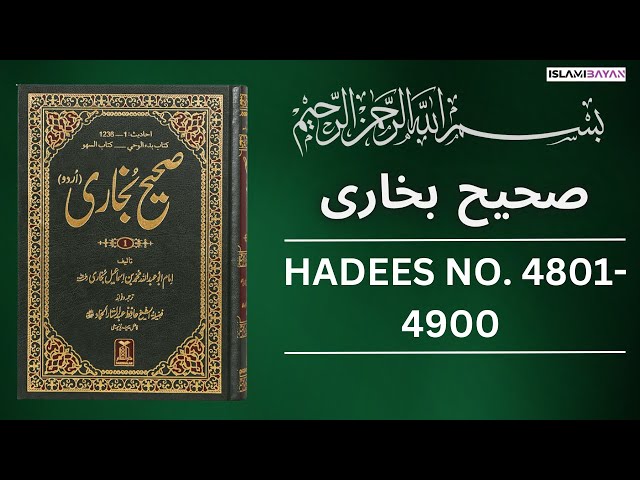 Sahih Bukhari Hadees No 4800 To 4900 | Hadees in Urdu | Sahih Bukhari Hadees