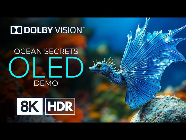 OLED 4K UHD 60fps with Dolby Vision – Ocean Animals Adventures