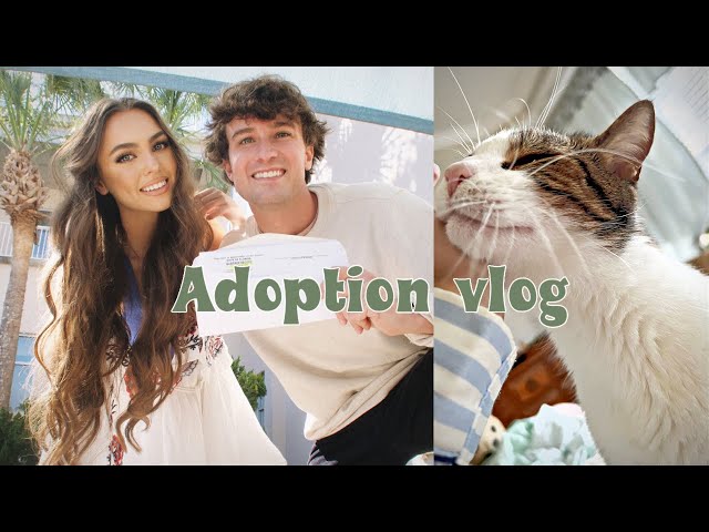 ADOPTING A KITTY VLOG 🐈 + week in my life!