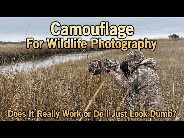 Camouflage and Wildlife Photography