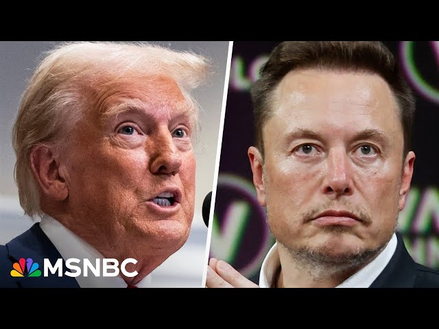 'Saying one thing in public and another in private': Republicans reassure voters on Musk