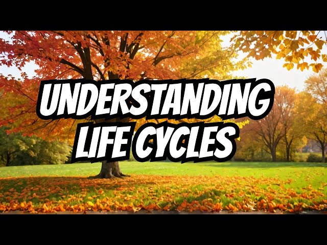 Biblical Laws That Govern The Cycle Of Life