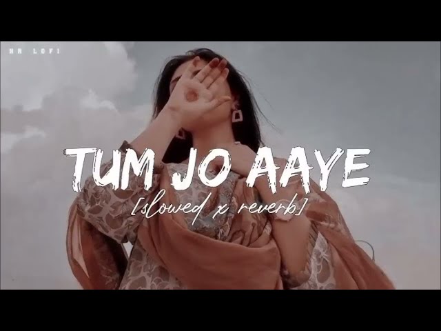 Tum jo Aaye zindagi mein lofi song | royal king music |