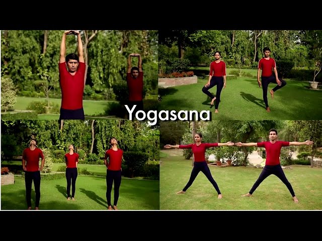 How To Do Yogasana ? | Tadasana | Vrikshasana | Padda Hastasana | Lesson #3 | TV5 News