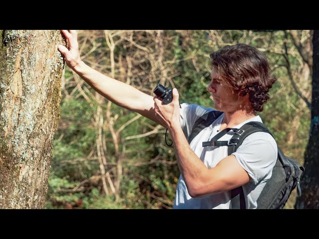 Creating a Cinematic Hiking Video | BTS Demonstration + 5 Tips