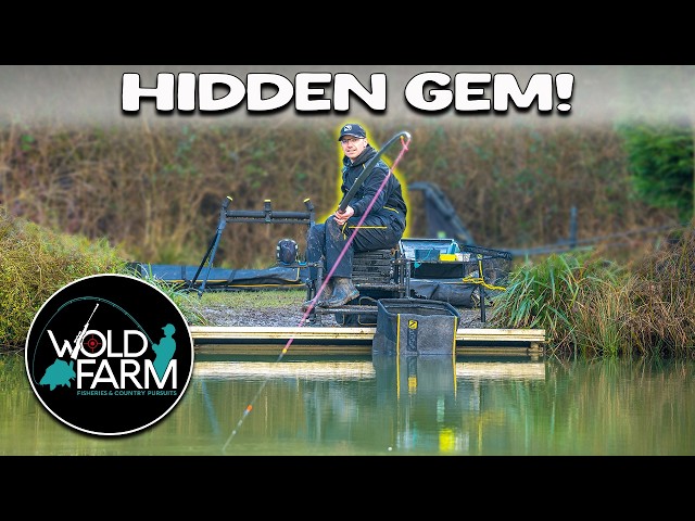 This HIDDEN Fishery is INCREDIBLE! (Amazing Fishing Lakes)