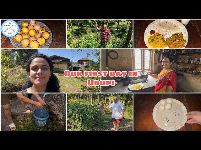 Our First Day in Udupi | Pundi and chutney | Mom made Papaya Chutney | Plucking Chickoo