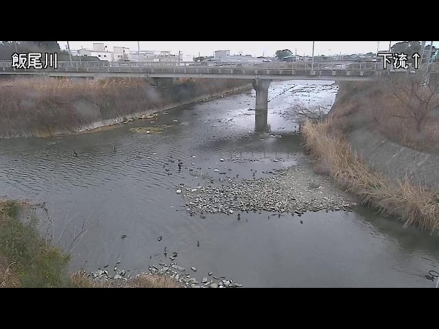 飯尾川　名西郡石井町高川原