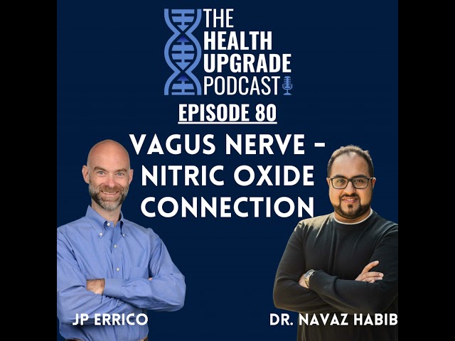 Vagus Nerve - Nitric Oxide Connection