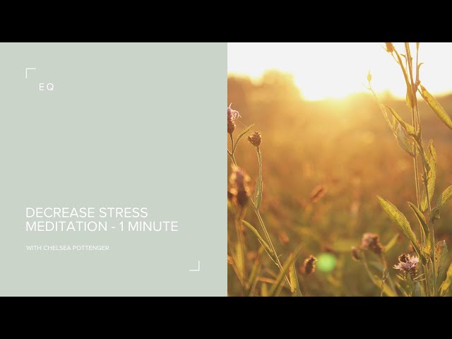 1 minute Meditation for Stress ✨