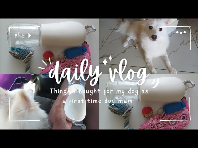 Huge January Puppy Haul: Must-Have & Non-Essential Items for New Dog Moms!.